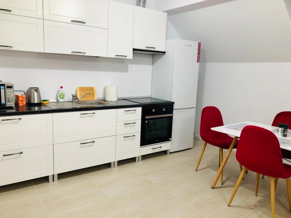 New And Modern Apartments In Villa, Near City Center M36 Timisoara Bagian luar foto